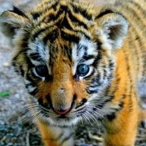 Meet your Posher, Rosario